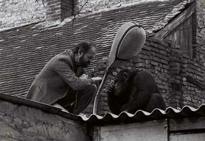 83 Fascinating And Emotional Historical Photos That Don&rsquo;t Let Us Forget The Past (New Pics)