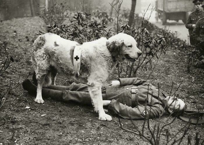 83 Fascinating And Emotional Historical Photos That Don&rsquo;t Let Us Forget The Past (New Pics)