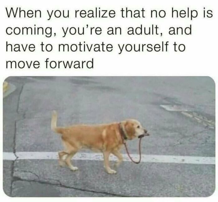 74 Hilariously Relatable Memes For Adults Who Still Don&rsquo;t Know What They&rsquo;re Doing