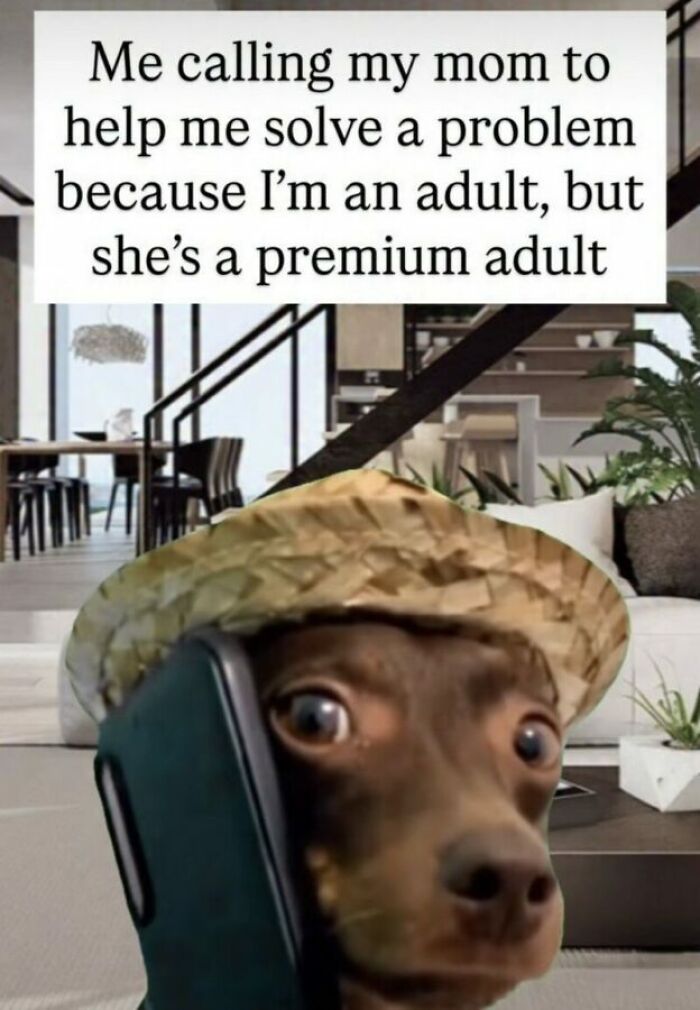 74 Hilariously Relatable Memes For Adults Who Still Don&rsquo;t Know What They&rsquo;re Doing