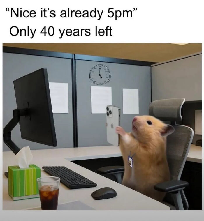 74 Hilariously Relatable Memes For Adults Who Still Don&rsquo;t Know What They&rsquo;re Doing