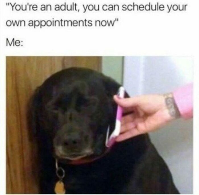 74 Hilariously Relatable Memes For Adults Who Still Don&rsquo;t Know What They&rsquo;re Doing