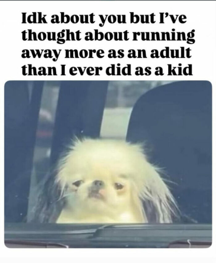 74 Hilariously Relatable Memes For Adults Who Still Don&rsquo;t Know What They&rsquo;re Doing