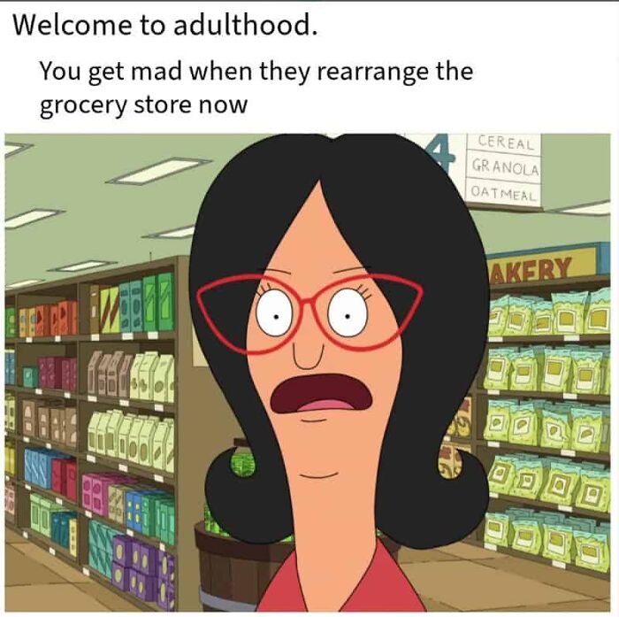74 Hilariously Relatable Memes For Adults Who Still Don&rsquo;t Know What They&rsquo;re Doing