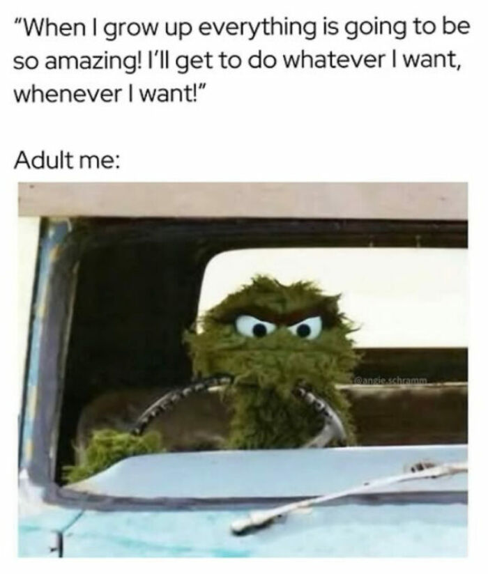 74 Hilariously Relatable Memes For Adults Who Still Don&rsquo;t Know What They&rsquo;re Doing