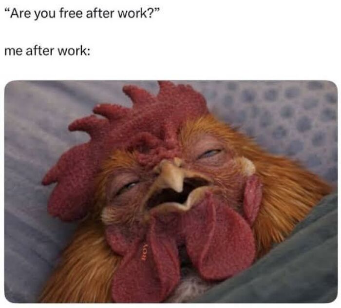 74 Hilariously Relatable Memes For Adults Who Still Don&rsquo;t Know What They&rsquo;re Doing