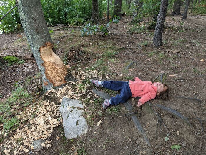 68 Hilarious And Mischievous Kids That Both Make Parents Laugh And Give Them A Headache