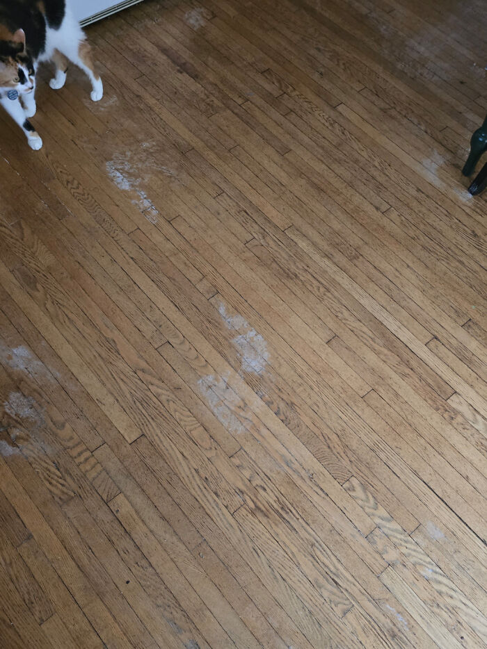 68 Hilarious And Mischievous Kids That Both Make Parents Laugh And Give Them A Headache