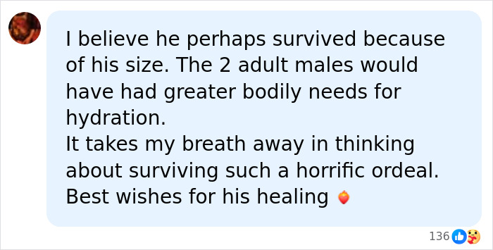 15YO Alaskan Boy Who Survived 62 Hours At Sea Makes Chilling Revelation After Getting Rescued 15YO Alaskan Boy Who Survived 62 Hours At Sea Makes Chilling Revelation After Getting Rescued