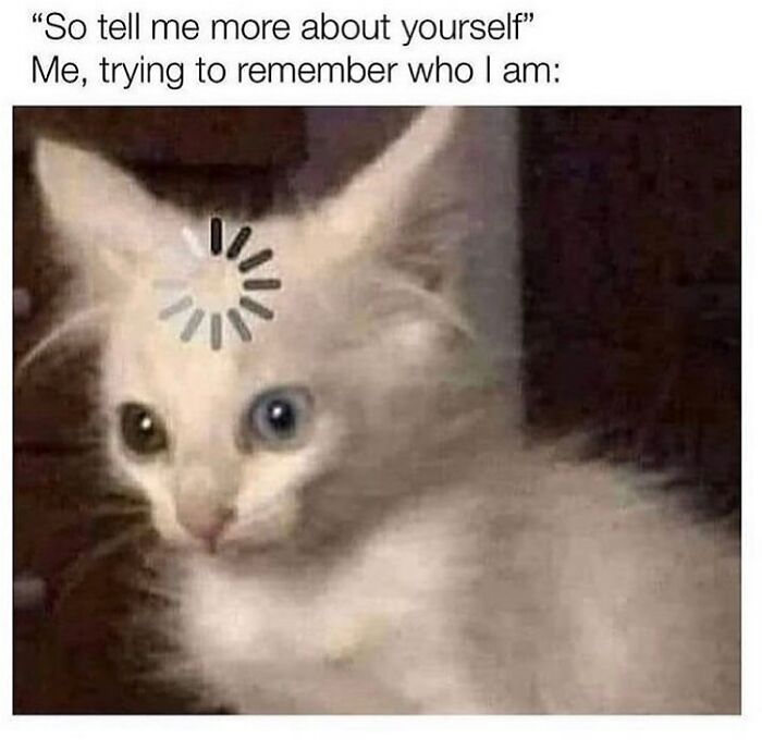 48 Of The Funniest Cat Memes Shared By This Page That Are Impossible Not To Laugh At 48 Of The Funniest Cat Memes Shared By This Page That Are Impossible Not To Laugh At