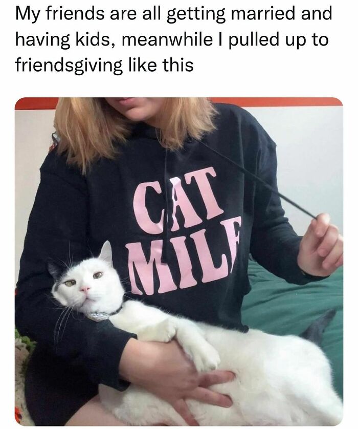 48 Of The Funniest Cat Memes Shared By This Page That Are Impossible Not To Laugh At 48 Of The Funniest Cat Memes Shared By This Page That Are Impossible Not To Laugh At