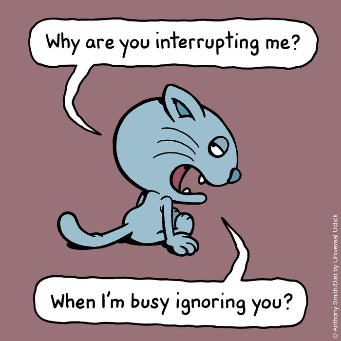 ‘Cattitude’: Artist Purrfectly Illustrates What Having A Cat Is Like (30 New Pics) ‘Cattitude’: Artist Purrfectly Illustrates What Having A Cat Is Like (30 New Pics)