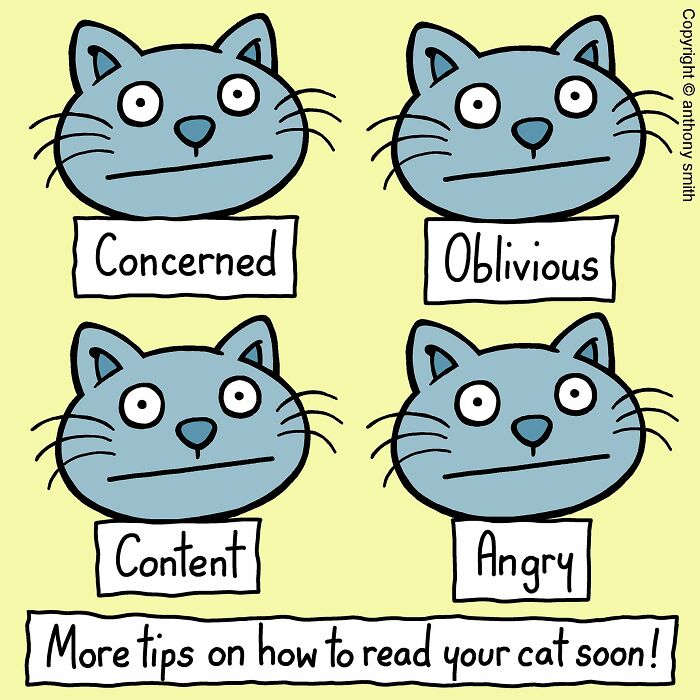 ‘Cattitude’: Artist Purrfectly Illustrates What Having A Cat Is Like (30 New Pics) ‘Cattitude’: Artist Purrfectly Illustrates What Having A Cat Is Like (30 New Pics)