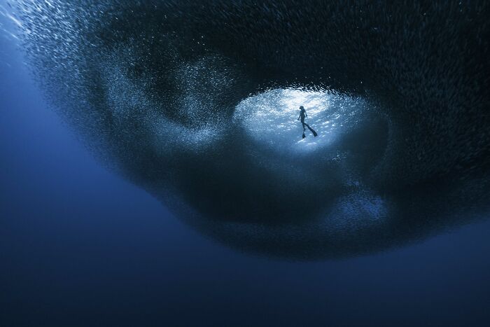 94 Stunning Images From The 2026 Ocean Photographer Of The Year Awards