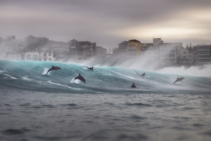94 Stunning Images From The 2026 Ocean Photographer Of The Year Awards