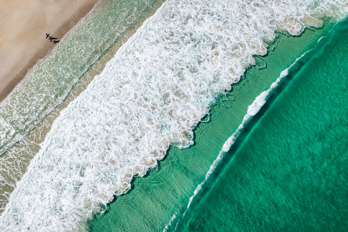 94 Stunning Images From The 2026 Ocean Photographer Of The Year Awards