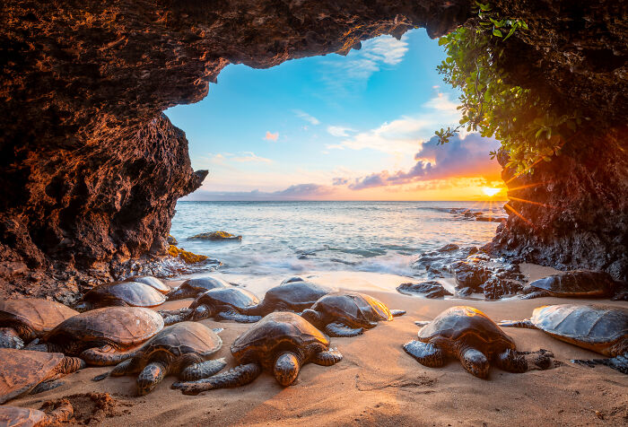 94 Stunning Images From The 2026 Ocean Photographer Of The Year Awards