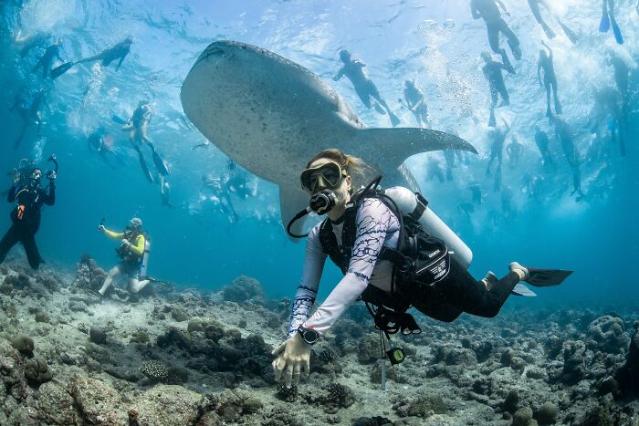 94 Stunning Images From The 2026 Ocean Photographer Of The Year Awards