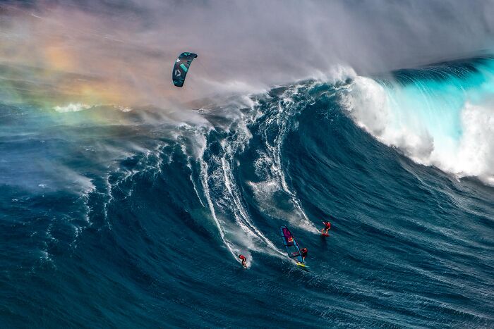 94 Stunning Images From The 2026 Ocean Photographer Of The Year Awards