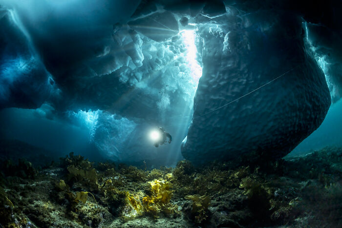 94 Stunning Images From The 2026 Ocean Photographer Of The Year Awards