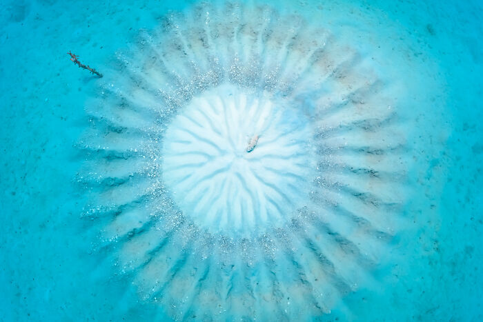 94 Stunning Images From The 2026 Ocean Photographer Of The Year Awards