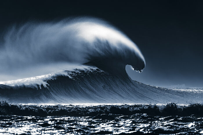 94 Stunning Images From The 2026 Ocean Photographer Of The Year Awards