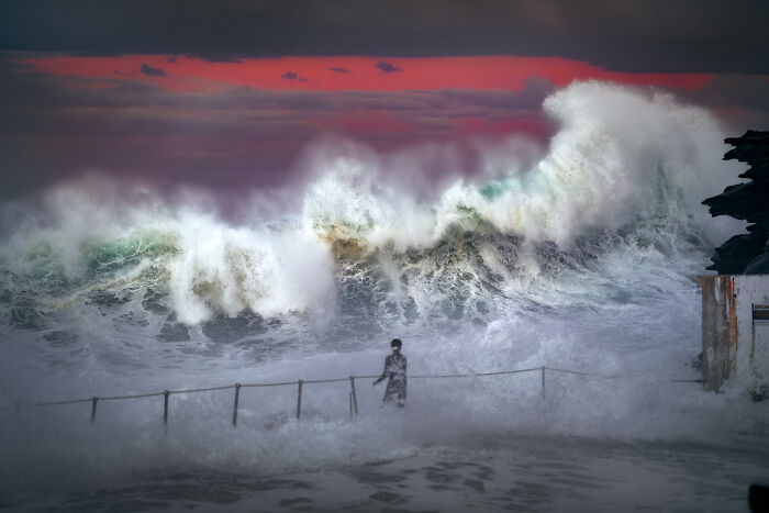 94 Stunning Images From The 2026 Ocean Photographer Of The Year Awards