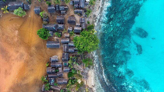 94 Stunning Images From The 2026 Ocean Photographer Of The Year Awards
