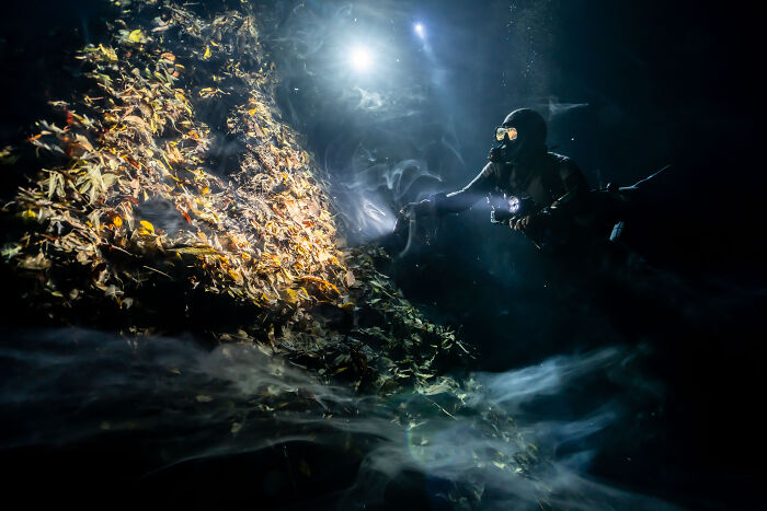94 Stunning Images From The 2026 Ocean Photographer Of The Year Awards