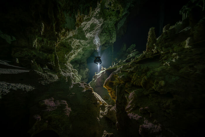 94 Stunning Images From The 2026 Ocean Photographer Of The Year Awards