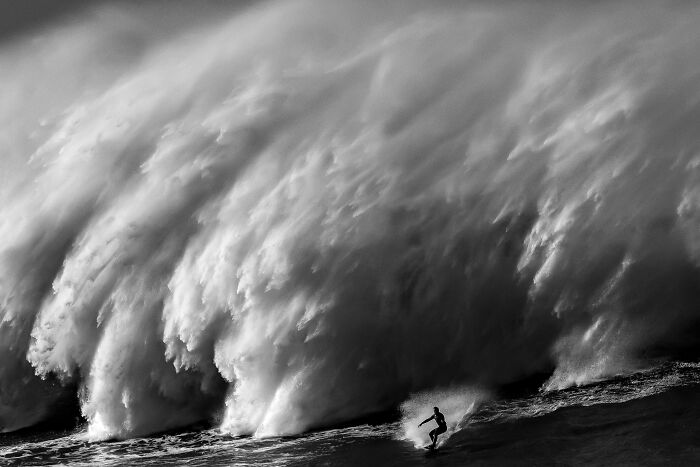 94 Stunning Images From The 2026 Ocean Photographer Of The Year Awards