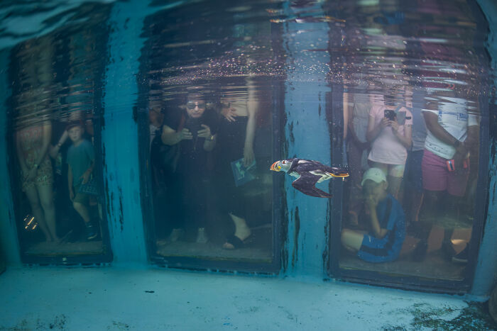 94 Stunning Images From The 2026 Ocean Photographer Of The Year Awards