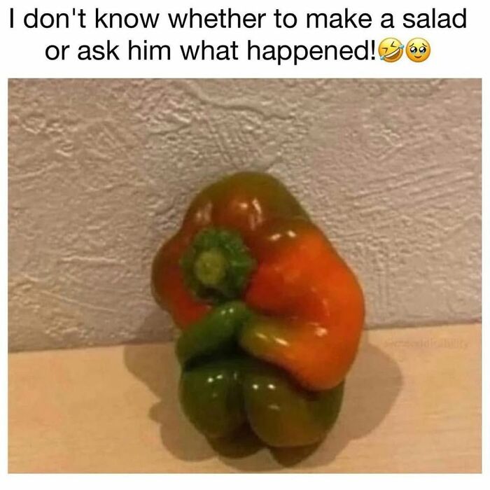 This Community Shares The Funniest Examples Of Pareidolia, Here Are 62 Of Our Favorites