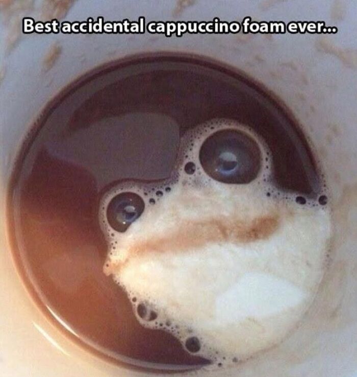 This Community Shares The Funniest Examples Of Pareidolia, Here Are 62 Of Our Favorites