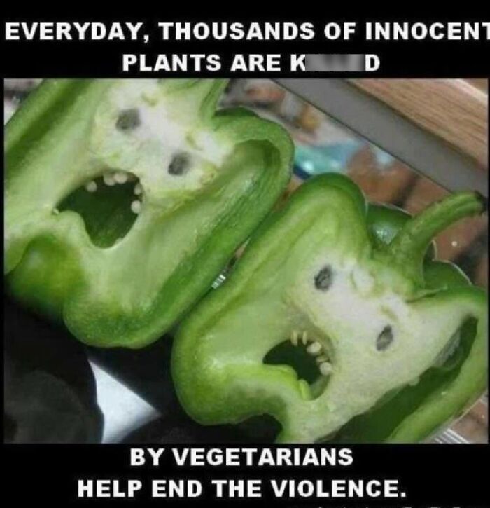 This Community Shares The Funniest Examples Of Pareidolia, Here Are 62 Of Our Favorites