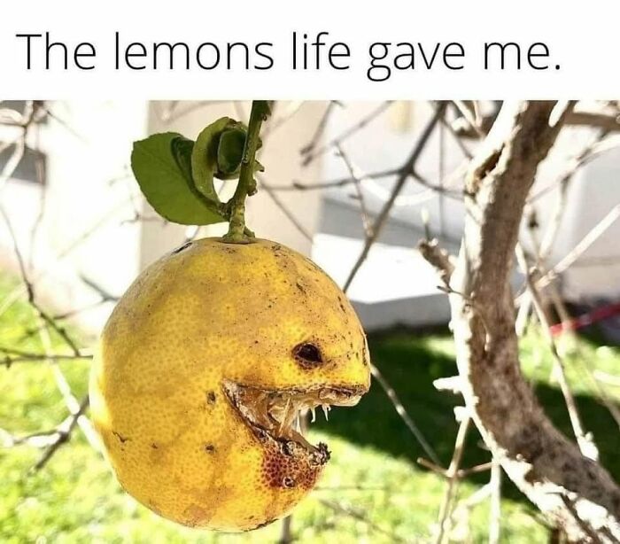 This Community Shares The Funniest Examples Of Pareidolia, Here Are 62 Of Our Favorites