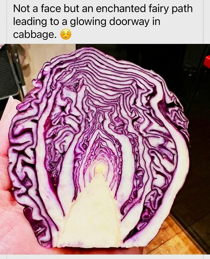 This Community Shares The Funniest Examples Of Pareidolia, Here Are 62 Of Our Favorites