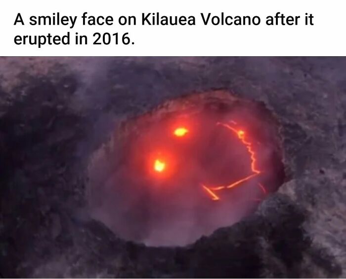 This Community Shares The Funniest Examples Of Pareidolia, Here Are 62 Of Our Favorites