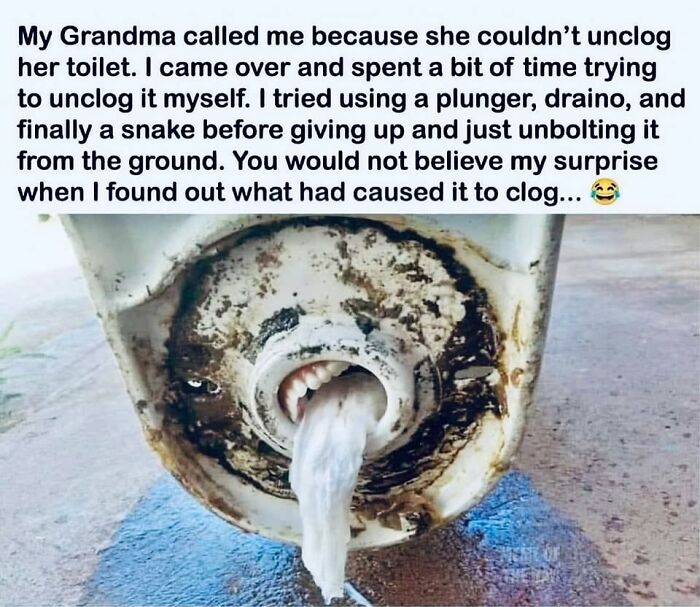 This Community Shares The Funniest Examples Of Pareidolia, Here Are 62 Of Our Favorites