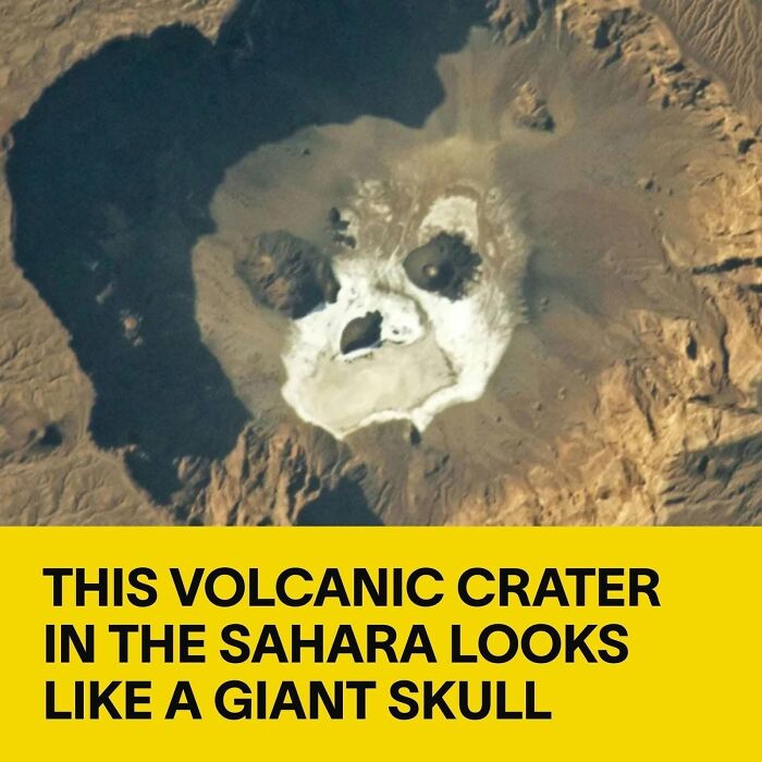 This Community Shares The Funniest Examples Of Pareidolia, Here Are 62 Of Our Favorites