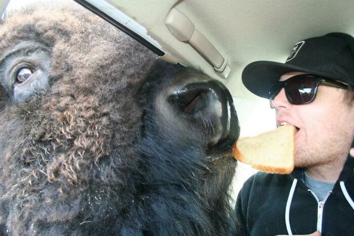 118 Unhinged Images That Made People Go “Hmmm”