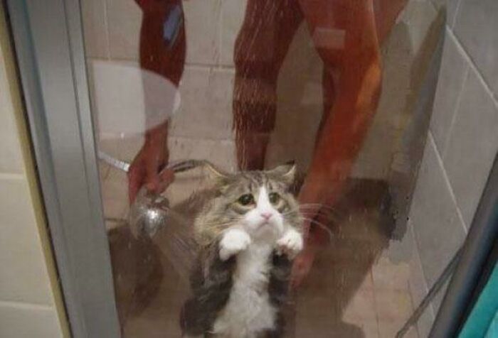 118 Unhinged Images That Made People Go “Hmmm”