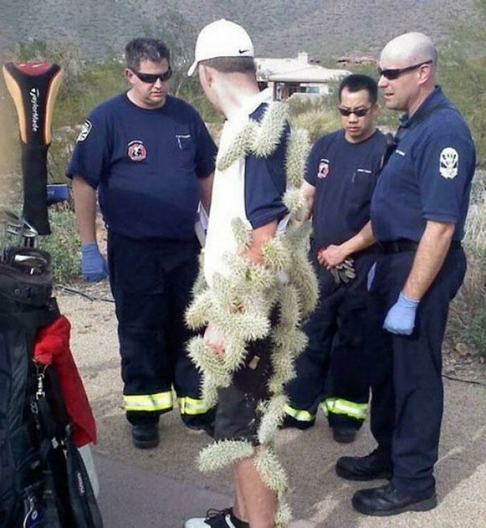 118 Unhinged Images That Made People Go “Hmmm”