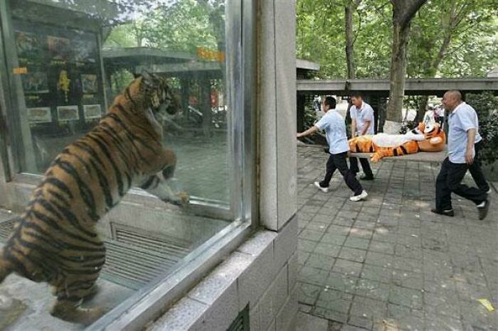 118 Unhinged Images That Made People Go “Hmmm”