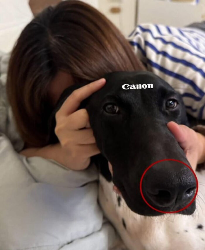 118 Unhinged Images That Made People Go “Hmmm”