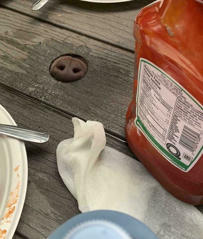 118 Unhinged Images That Made People Go “Hmmm”