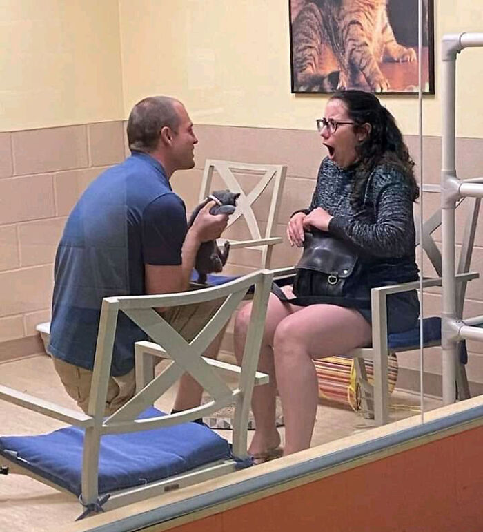 118 Unhinged Images That Made People Go “Hmmm”