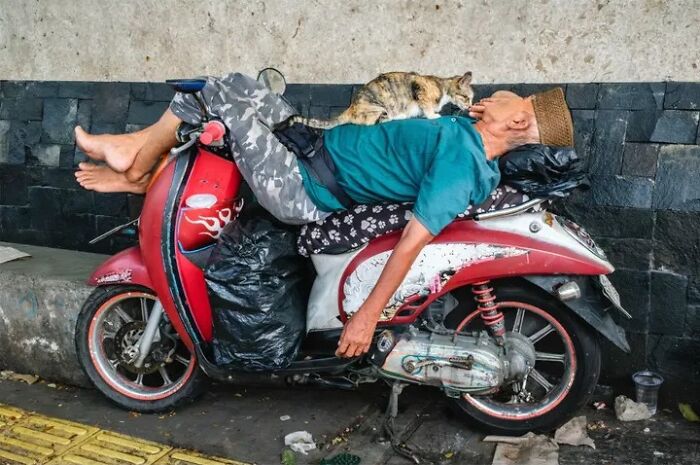 26 Times Animals Stole The Show In Jeffrey De Keyser&rsquo;s Street Photography