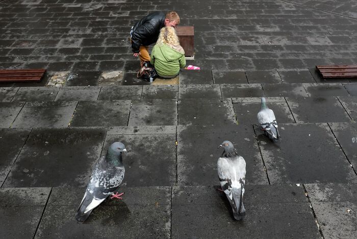26 Times Animals Stole The Show In Jeffrey De Keyser&rsquo;s Street Photography