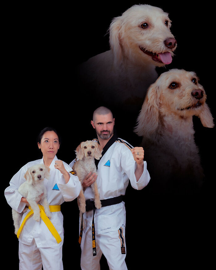 This Photographer Captured 49 Silly And Quirky Portraits Of Pets And Their Owners Once Again